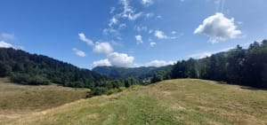 La Motte en Bauges - Saint-François-de-Sales - 2