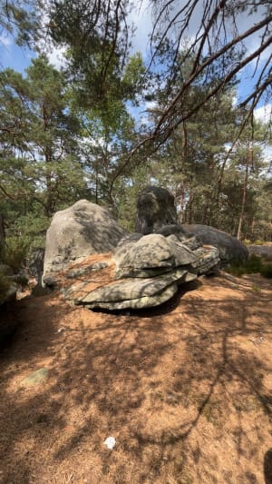 Bestorming van de Franchard Gorges en vreemde rotsen - Fontainebleau - 8