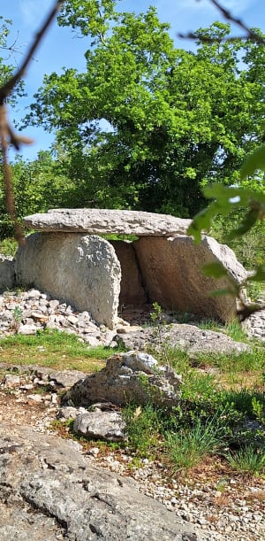 Chemin des Dolmens - Labeaume - La Buissière - 6