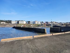 De Port Giraud à Préfailles - La Plaine-sur-Mer - 6