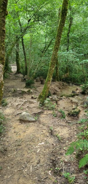 Boucle autour de la source d'Artague - Saint-Pierre-d'Irube - 25