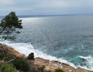 Sur les quais du port de la Redonne et merveilleuses calanques - Carry-le-Rouet - 22