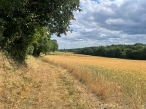 Rando sur Neuvicq 17 - Neuvicq - 3