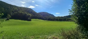 Etre saisi par les gorges de la Saine et de la Langouette - Les Planches-en-Montagne - 38