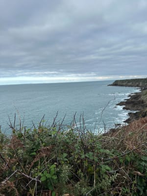 Cancale et sa magnifique pointe du Grouin - Cancale - 50