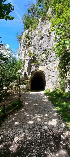 Etre saisi par les gorges de la Saine et de la Langouette - Les Planches-en-Montagne - 40