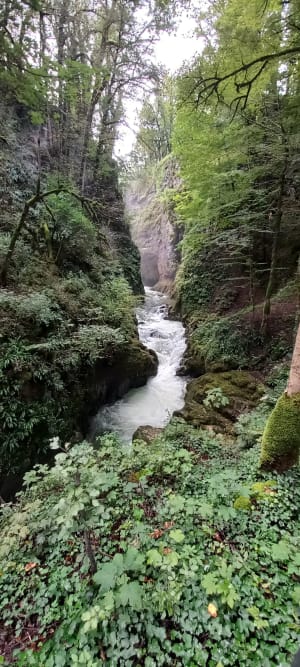 Etre saisi par les gorges de la Saine et de la Langouette - Les Planches-en-Montagne - 42