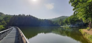 Rando ombragée en boucle autour du barrage de Thurins - ALAIN - 9