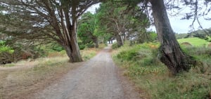 Ile Besnard et vent frais, vent du marin - Saint-Malo - 38