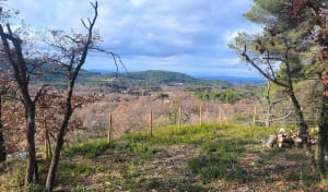 Randonnée à Pernes les Fontaines - Pernes-les-Fontaines - 13