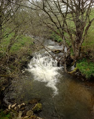 Aller retour Besse en passant par le Lac Pavin - Besse-et-Saint-Anastaise - 15