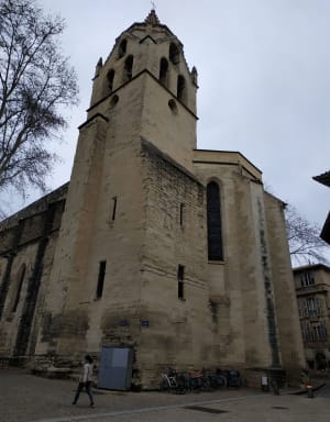 Marche insolite dans Avignon - Avignon - 3