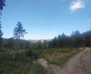 Randonnée forestière dans le Haut de Menaumont - Granges-Aumontzey - 13
