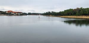 Le tour du lac d’Albret - Soustons - 5
