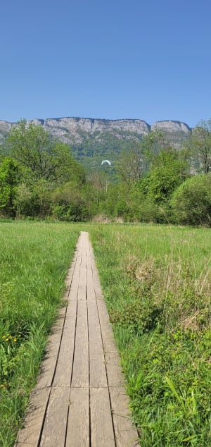 Doussard et la réserve naturelle du bout du lac d'Annecy - Doussard - 14