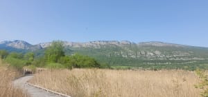 Doussard et la réserve naturelle du bout du lac d'Annecy - Doussard - 15