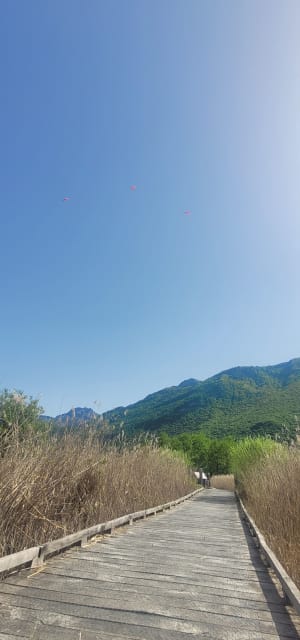 Doussard et la réserve naturelle du bout du lac d'Annecy - Doussard - 16