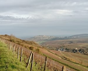 Chavignol en de Cul de Beaujeu - Chavignol, Cosne-Cours-Sur-loire - 6