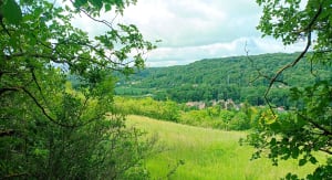 Randonnée au hameau de la Sainte-Colombe - Aubergenville - 5