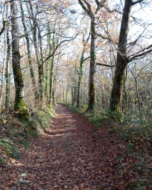 Monflanquin, la balade de Calviac - Monflanquin - 15