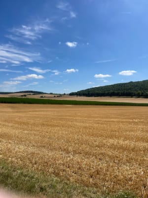 Randonnée Montgueux-Mesnil Vallon-Macey - Montgueux - 8