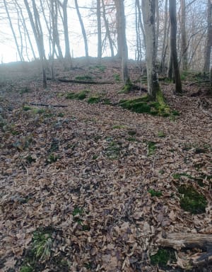Sur les hauteurs de Sorbiers - herve - 2