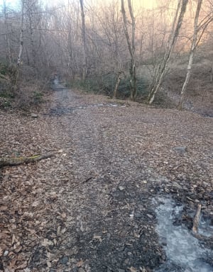 Sur les hauteurs de Sorbiers - herve - 3