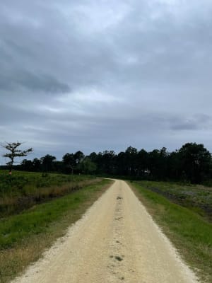 Les pistes autour d’Hourtin - Hourtin - 2