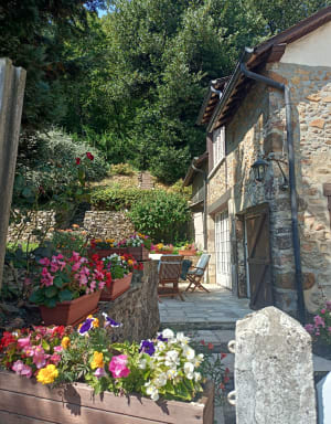Balade dans la forêt et le village de Saint Léonard des bois - Saint-Léonard-des-Bois - 16
