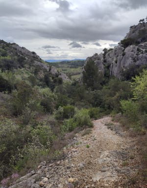 Lit de la Nesque et combe du Diable très agréable - Venasque - 15