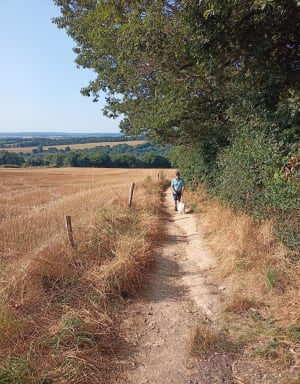 Balade dans la forêt et le village de Saint Léonard des bois - Saint-Léonard-des-Bois - 17