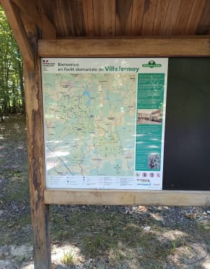 Balade hexagonale en forêt de Villefermoy - La Chapelle-Gauthier - 4