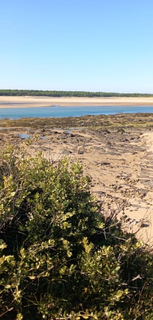 Pointe du Payré-pad - Jard-sur-Mer - 39