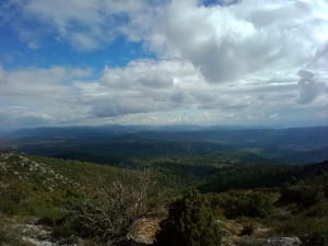 De Bertagne-piek in een lus vanuit Plan-d'Aups-Sainte-Baume - Plan-d'Aups-Sainte-Baume - 18