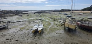 Grand tour de l'île de Batz et beauté de ses plages - Île de Batz - 31