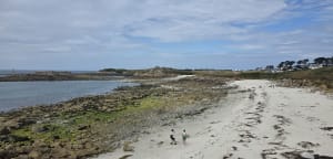 Grand tour de l'île de Batz et beauté de ses plages - Île de Batz - 34