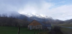 Boucle du Turon de Técouère - Bilhères - 17