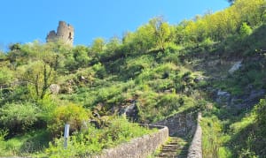 Tain-L'Hermitage - Tournon - Tain-l'Hermitage - 4