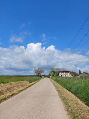 Le chemin des 2 églises depuis L'église du Tap - jean-marc - 9