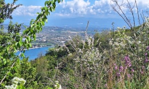 Tain-L'Hermitage - Tournon - Tain-l'Hermitage - 5