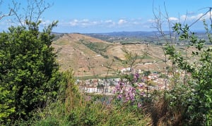 Tain-L'Hermitage - Tournon - Tain-l'Hermitage - 6