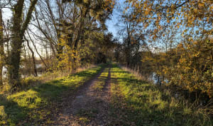 Balade au bord de l'Authion - Les Ponts-de-Cé - 8
