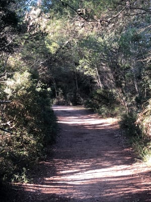 Les Aresquiers - Vic-la-Gardiole - 35
