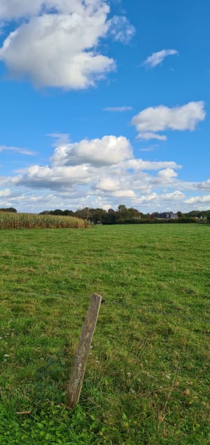 De la vallée du Kerbiler aux tours du château de l'Argoët - Elven - 6