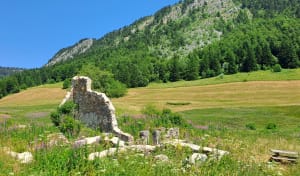 Découverte de la plaine d'Herbouilly et secrets du Vercors - Saint-Martin-en-Vercors - 8