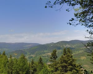 Balade jusqu'à ferme auberge du Solberg - Sanguita - 4