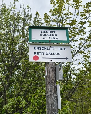 Balade jusqu'à ferme auberge du Solberg - Sanguita - 7