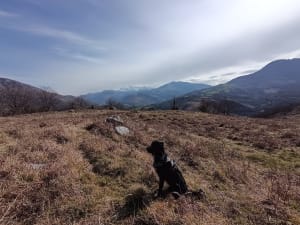 Mont du Béout et petit bout du GR 101 près de Lourdes - Camping du Loup, Lourdes - 2
