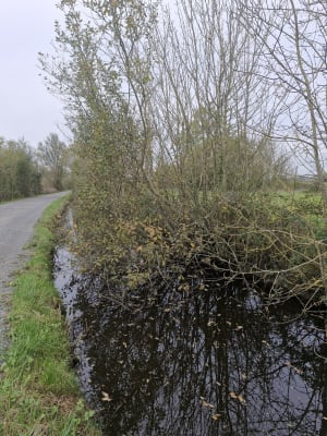 Les Mathes Saint Hilaire de Riez - gauthier - 7
