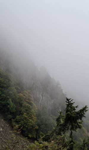 Le sentier des roches - Stosswihr - 88